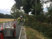 Baum droht auf Straße zu stürzen